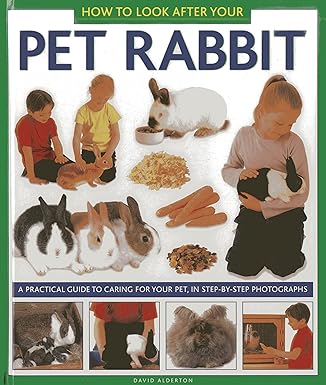 How to Look After Your Pet Rabbit [hardcover]