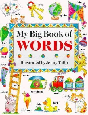 My Big Book of Words [HARDCOVER]