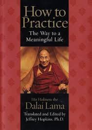 How to Practice: The Way to a Meaningful Life by His Holiness the Dalai Lama |Jeffrey Hopkins Ph.D. [Hardcover]