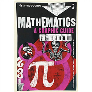 Introducing Mathematics : A Graphic Guide (RARE BOOKS)