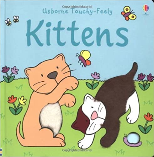 Kittens (Luxury Touchy Feely) [Board book]