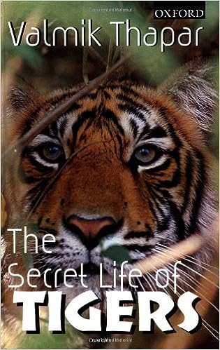 The Secret Life of Tigers [HARDCOVER] [RARE BOOKS]
