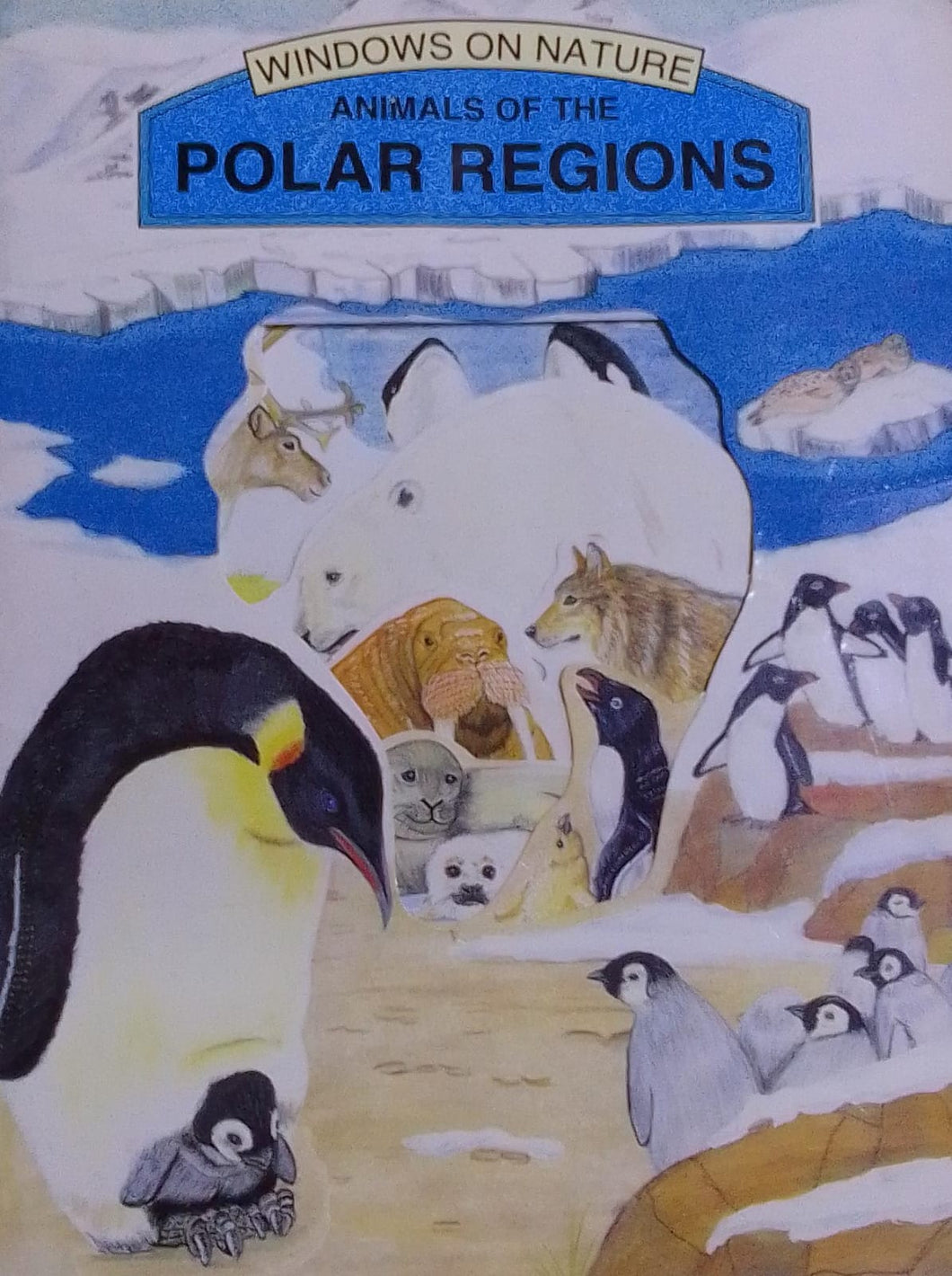 Animals Of The Polar Regions  (Windows On Nature)