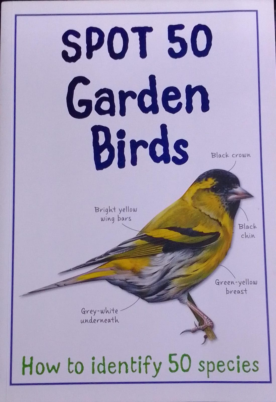 Spot 50 Garden Birds