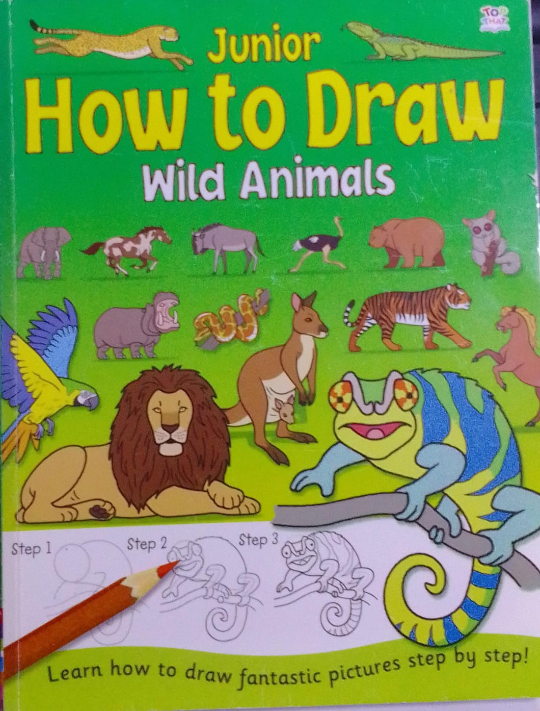 Junior How to Draw Wild Animals