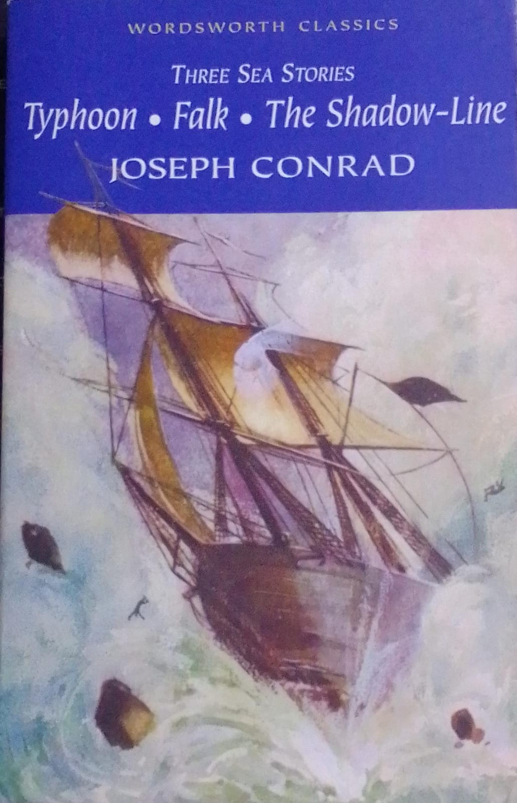 Three Sea Stories: Typhoon,Falk,The Shadow-Line (Wordsworth Classics)