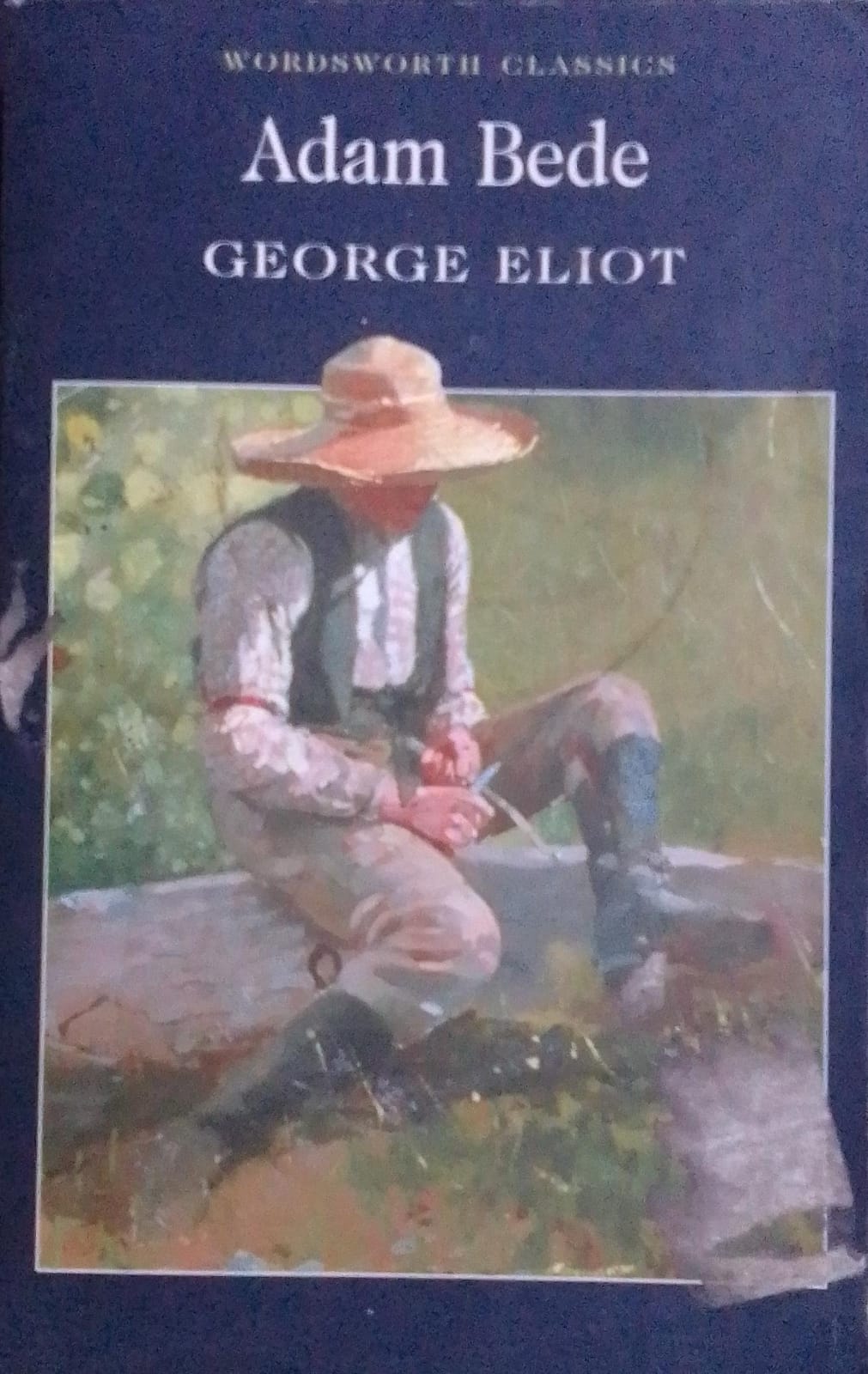 Adam Bede (Wordsworth Classics)