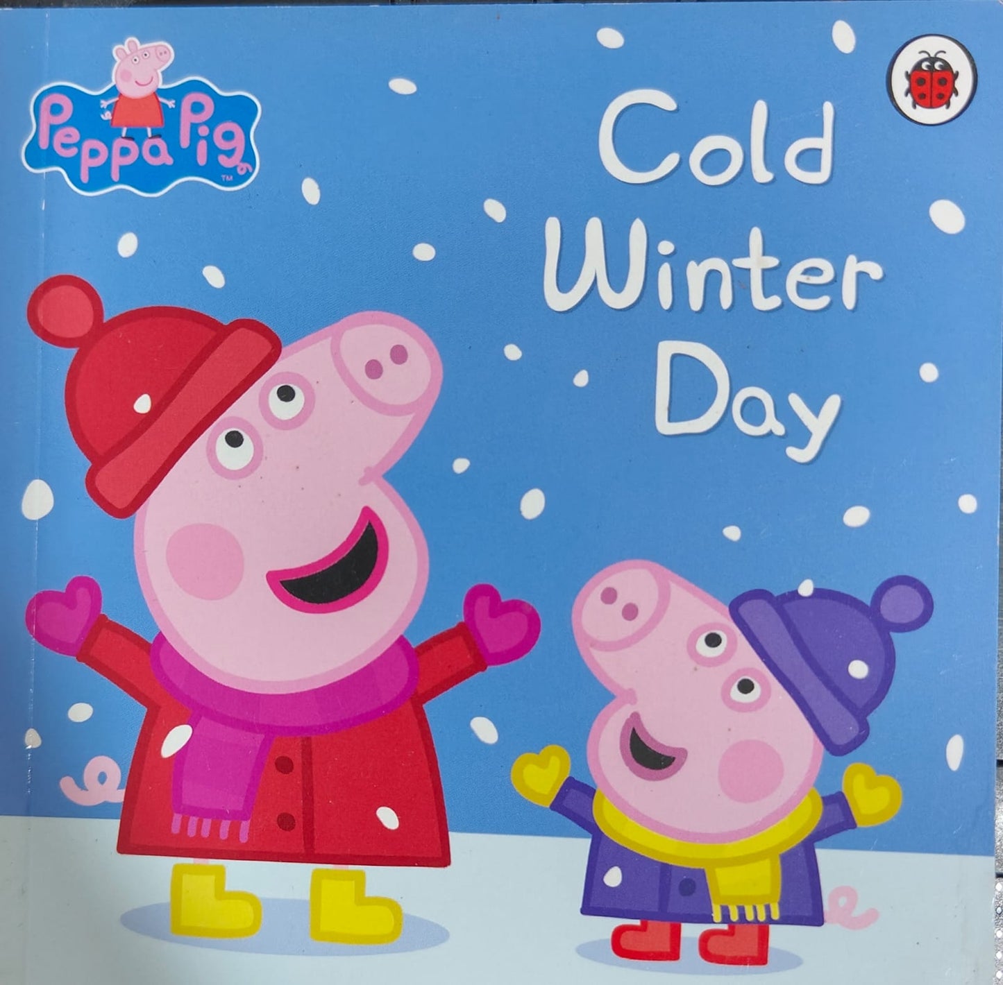 Cold winter day