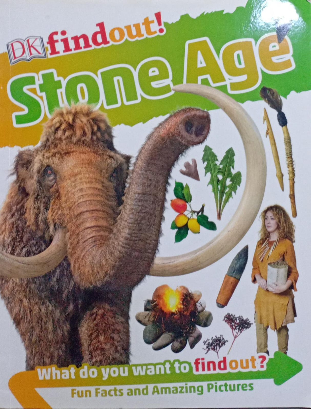 DKfindout! Stone Age