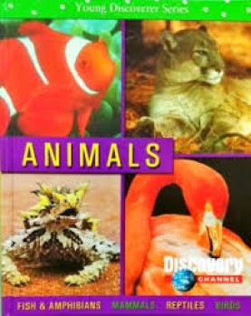 Young Discoverer Series: Animals [hardcover]