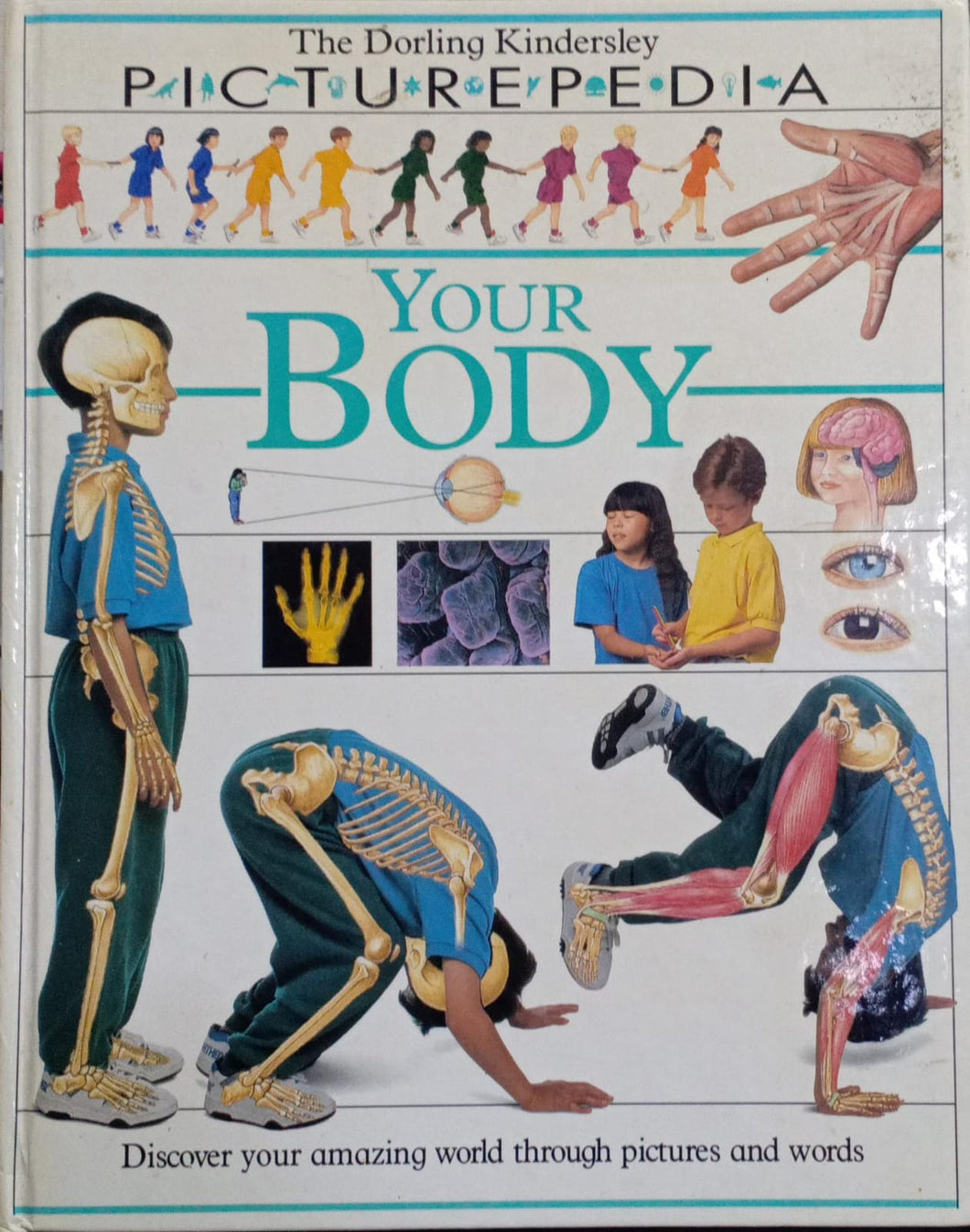 The Dorling PICTUREPEDIA - Your Body [HARDCOVER]