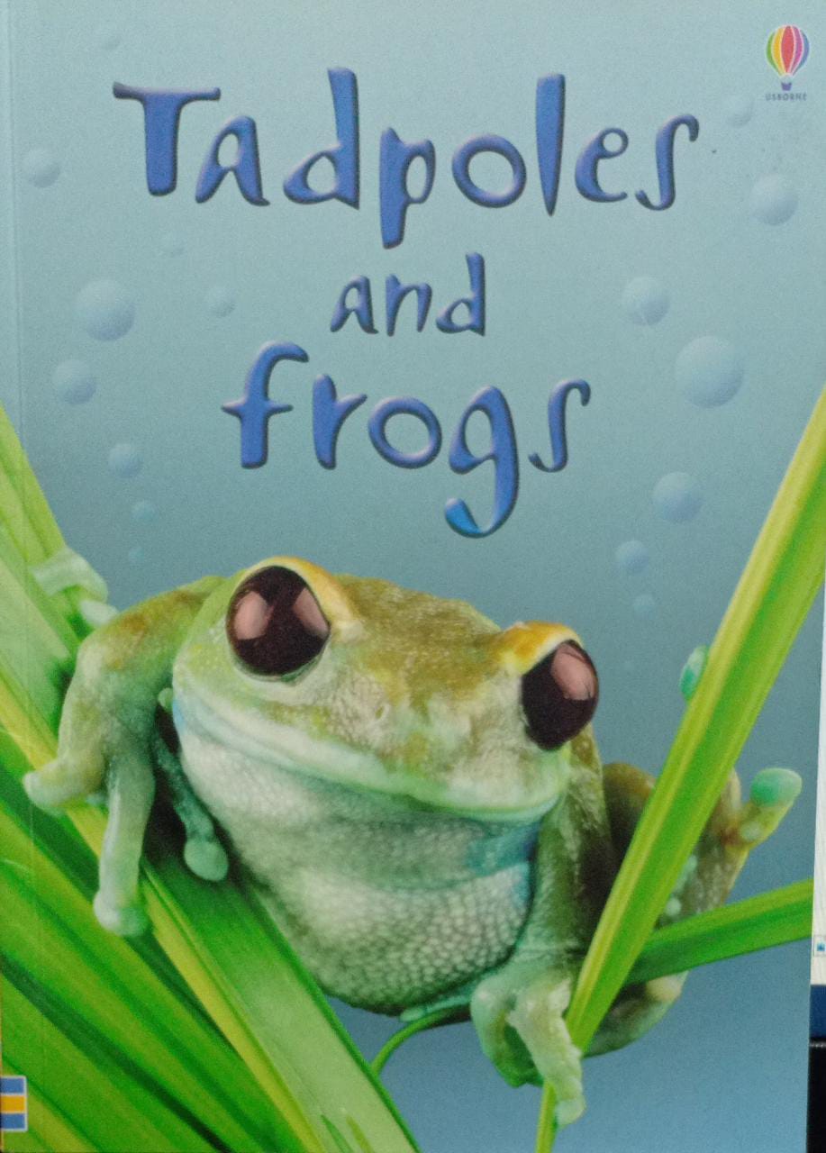 Tadpoles and Frogs