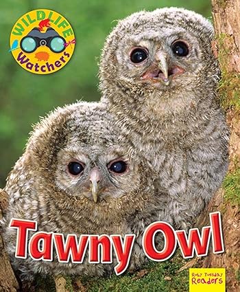 Wildlife Watchers: Tawny Owl (Ruby Tuesday Readers)