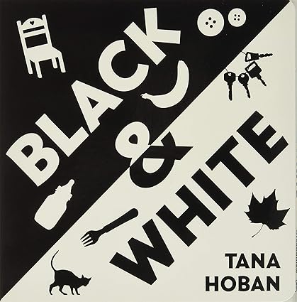 Black & White: Foldout Book [Board Book]