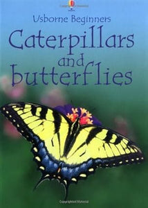 Caterpillars and Butterflies (Usborne Beginners)