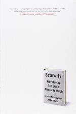 Scarcity: why having too little means so much [hardcover] [rare books]