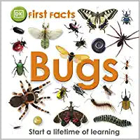 First Facts Bugs [HARDCOVER]