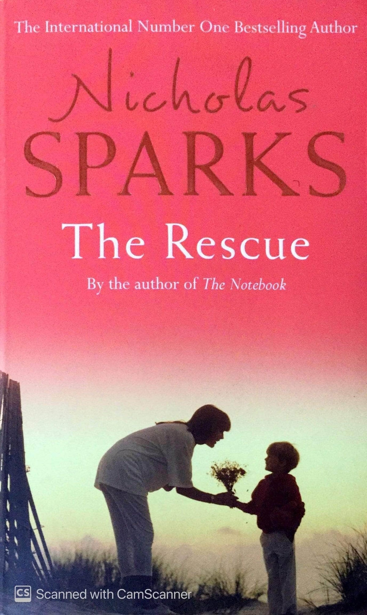 The Rescue