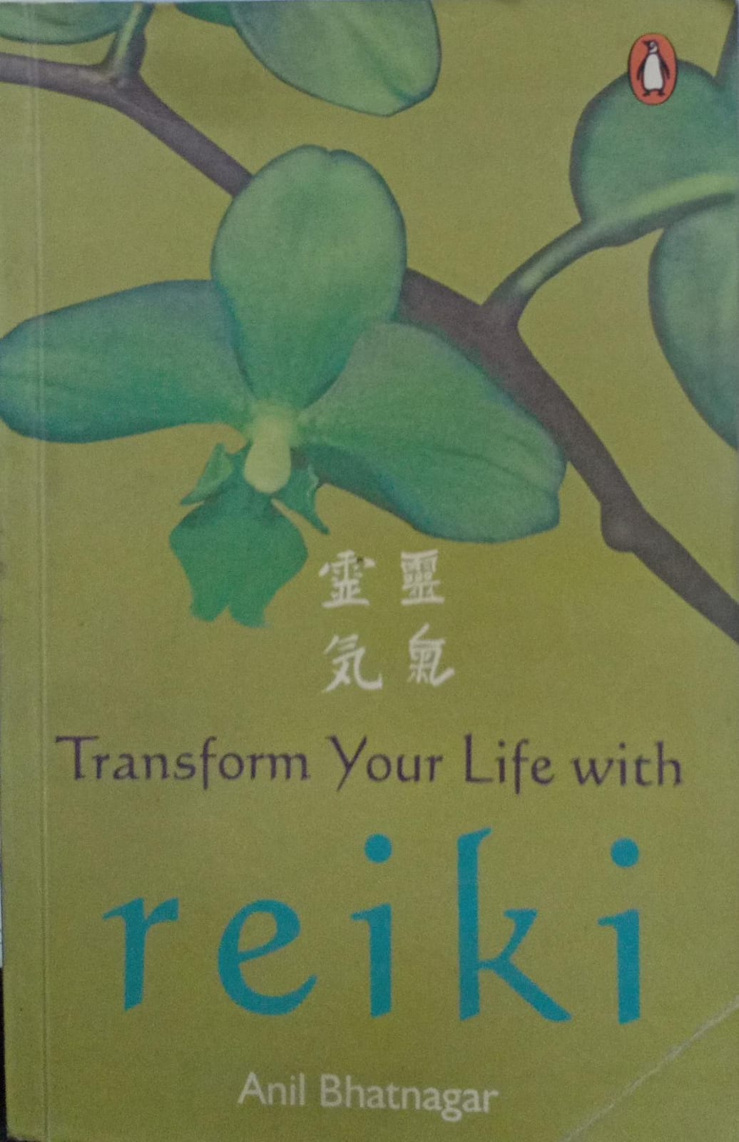 Transform Your Life with Reiki [rare books]