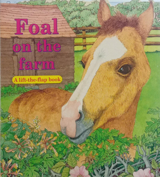 Foal on the Farm [board book]