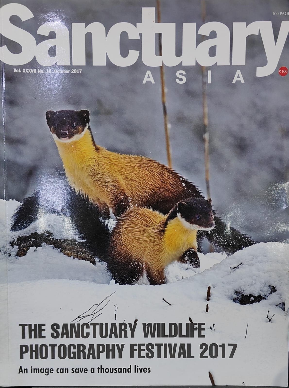 The sanctuary wildlife photography festival 2017 [Sanctuary Asia] [October 2017][rare books]