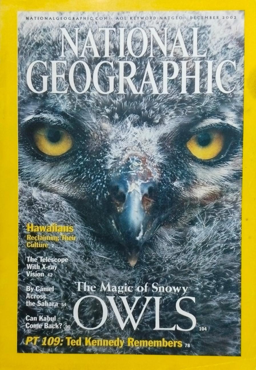 The magic of snowy owls [national geographic][rare books][december 2002]