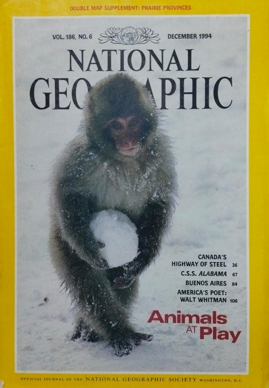 Animals at play [national geographic][rare books][December 1994]