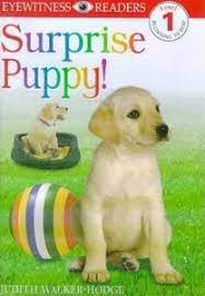 SURPRISE PUPPY