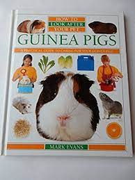 How To Look After Your Pet: 4 Guinea Pigs [hardcover]
