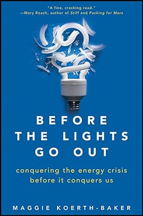 Before the lights go out: conquering the energy crisis before it conquers us [hardcover] [rare books]