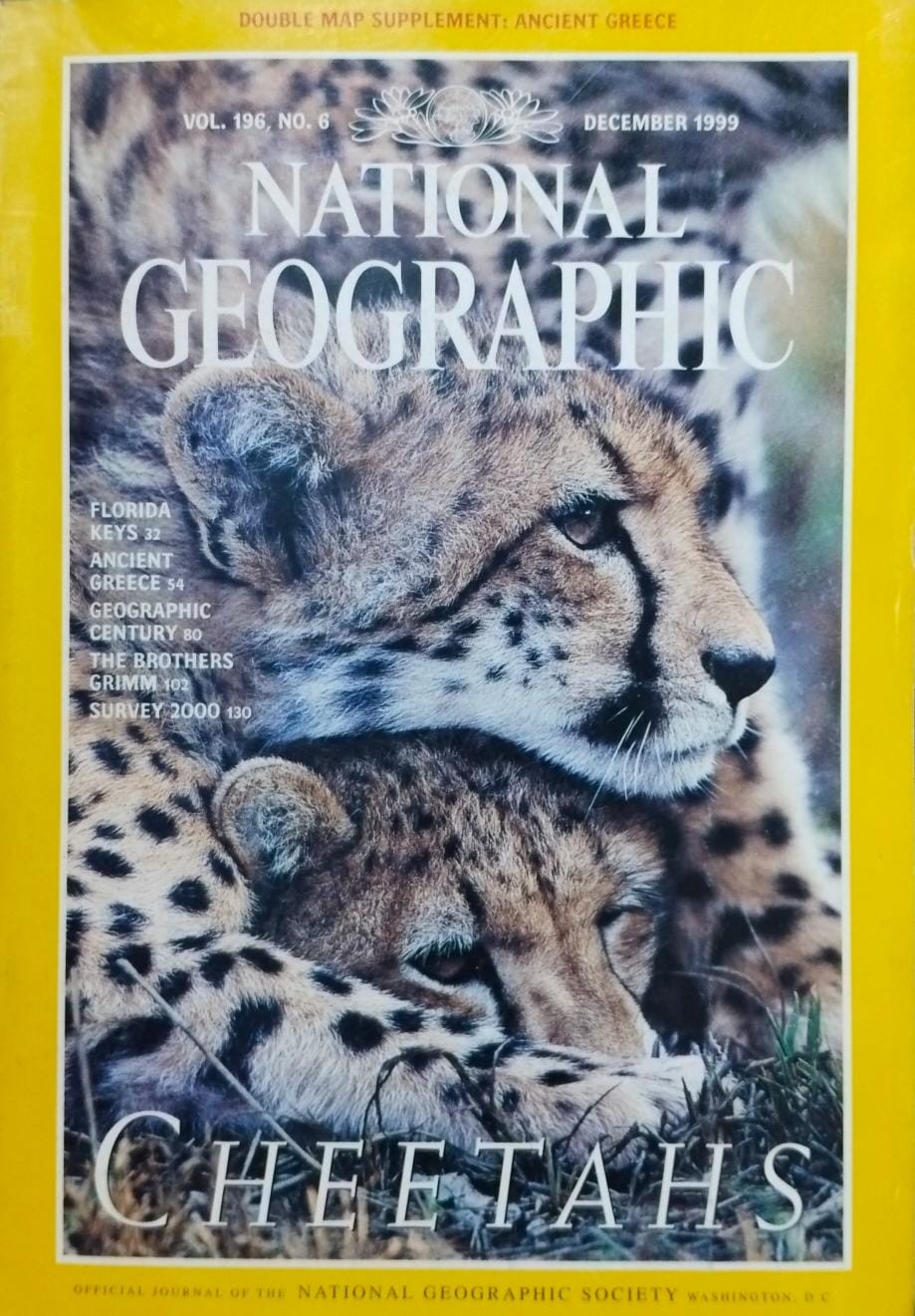 Cheetah's [national geographic][rare books][december 1999]