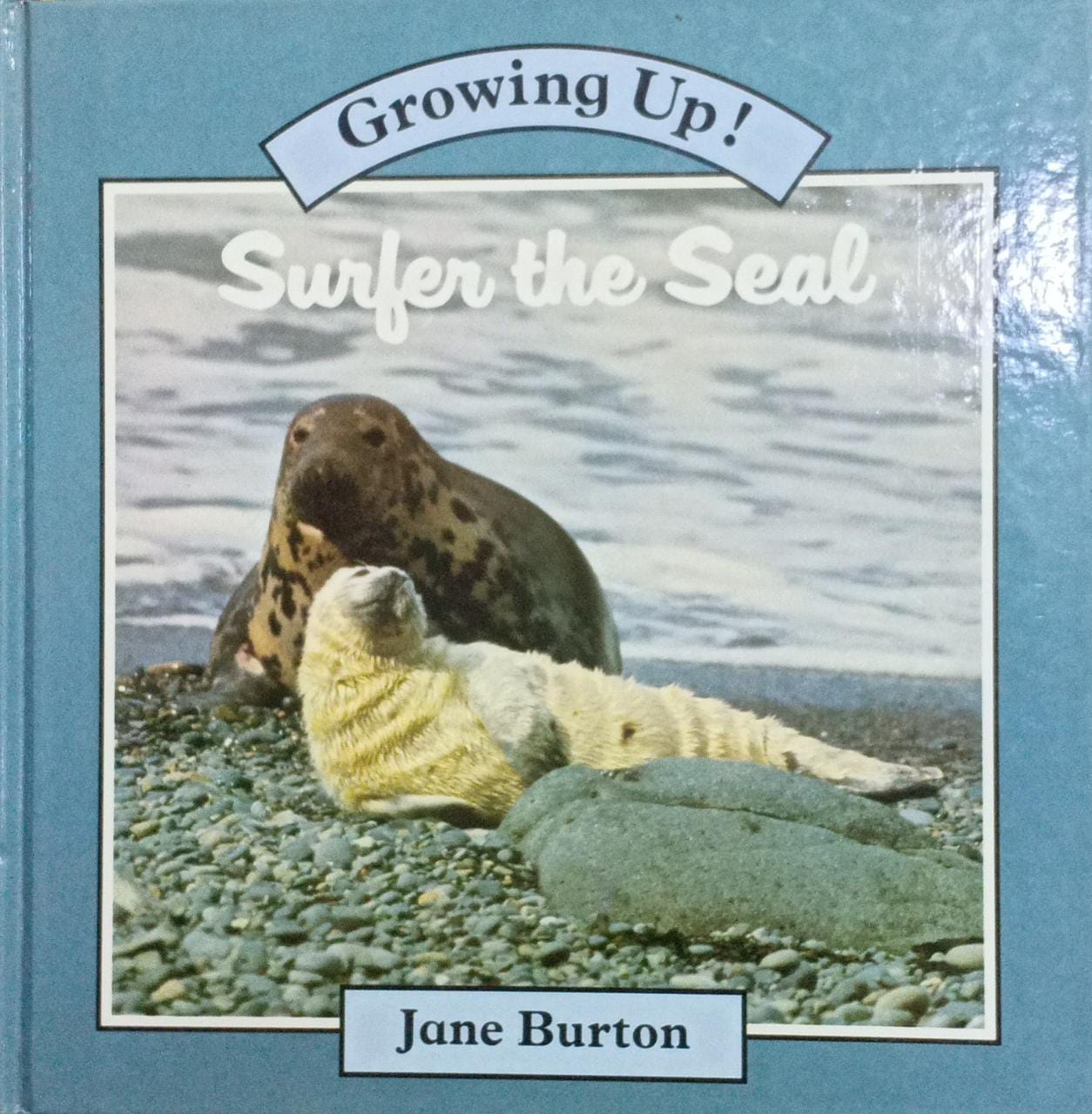 Surfer the seal [HARDCOVER]