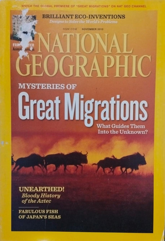 Mysteries of great migrations [national geographic][rare books][november 2010]