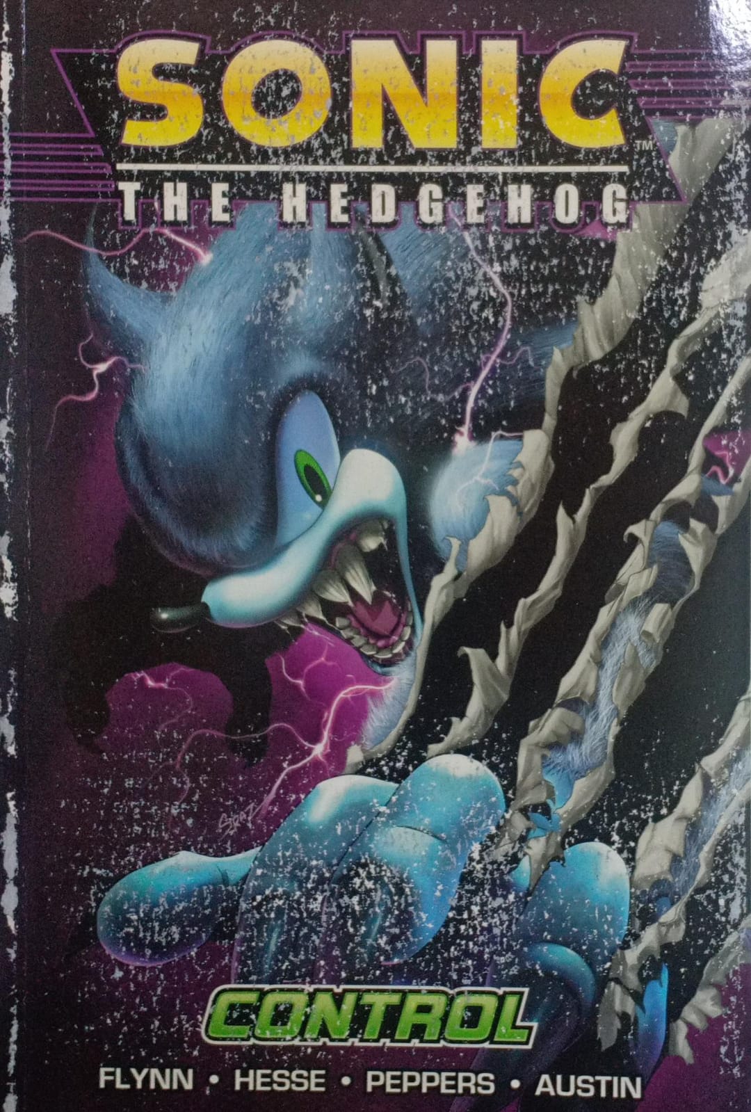 Sonic the hedgehog 4: control by Ian Flynn  [graphic novel]