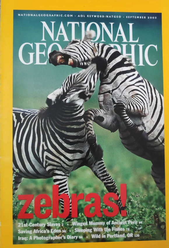 Zebras [National geographic][rare books][September 2003]