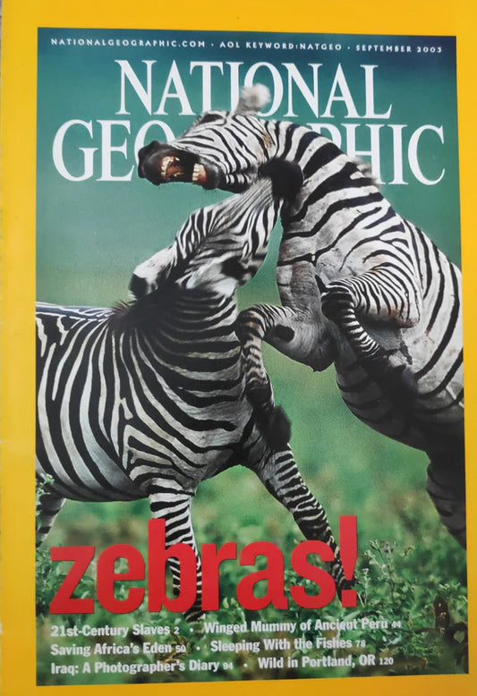 Zebras [National geographic][rare books][September 2003]