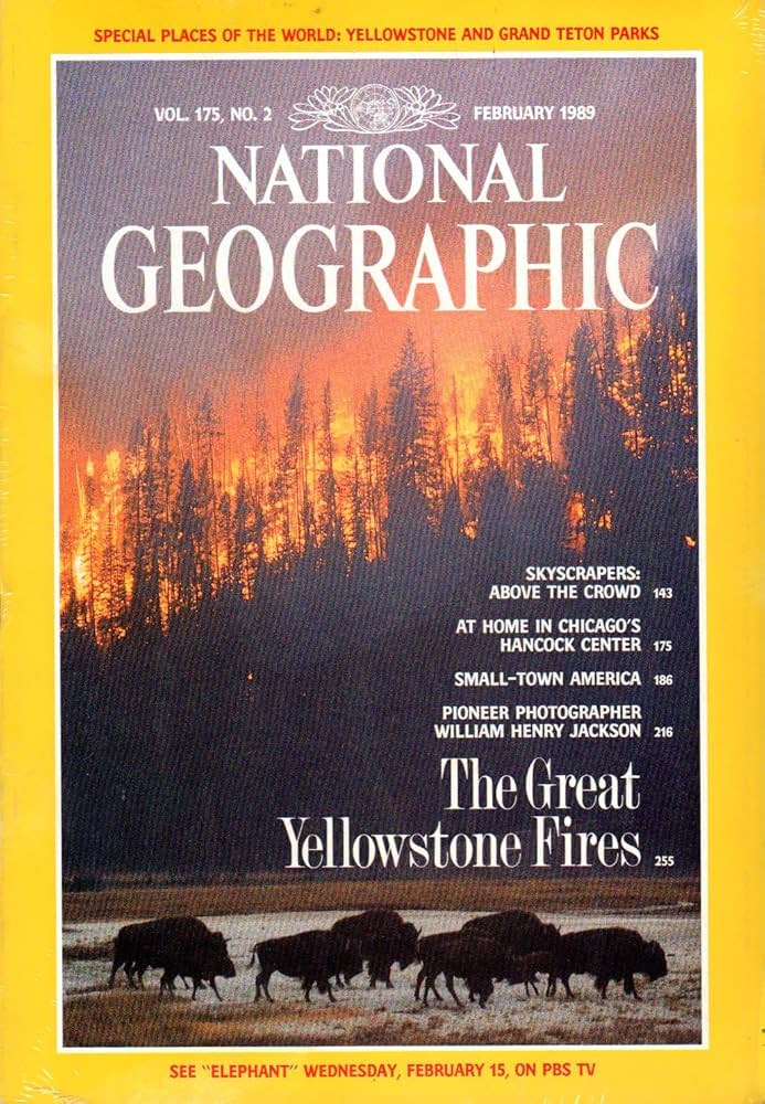 The Great Yellowstone Fires [national geographic][rare books][february 1989]