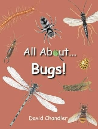 All about bugs [hardcover]