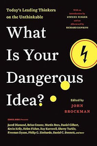 What is your dangerous idea?