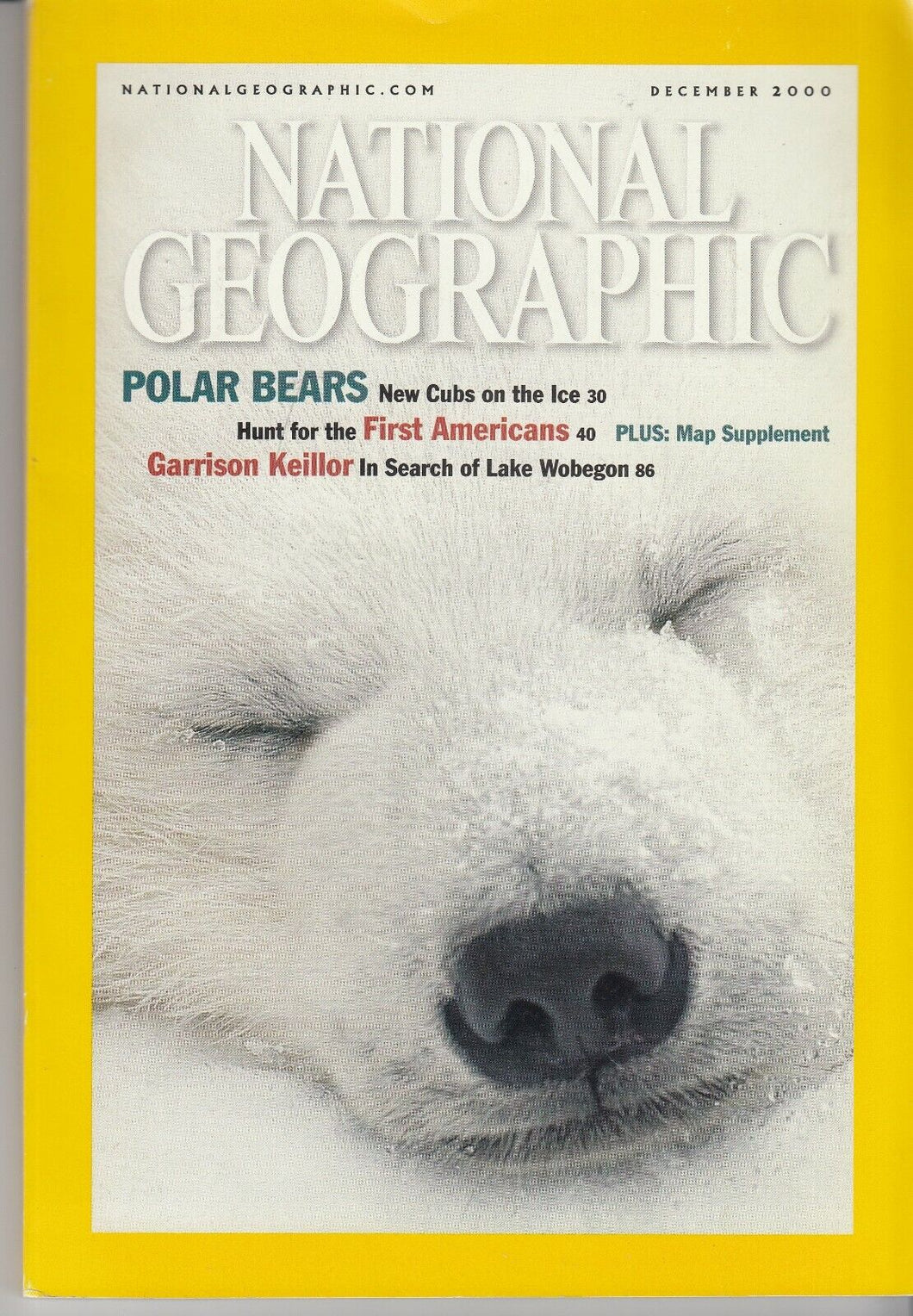 Polar bears [national geographic][rare books][december 2000]