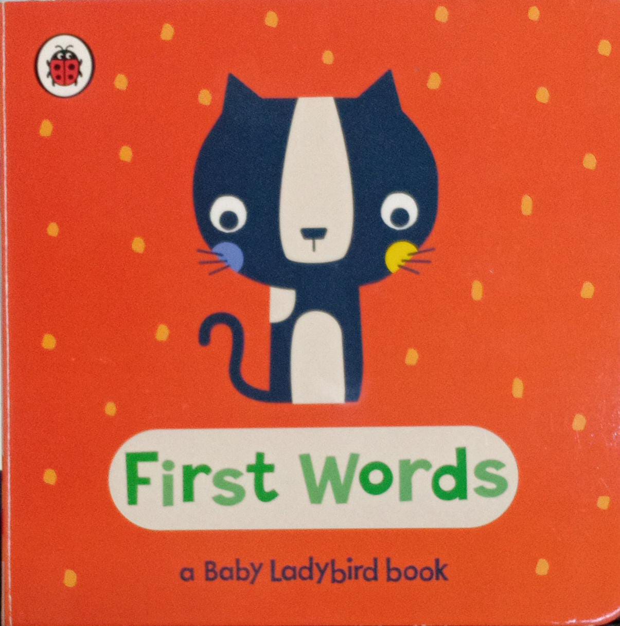 First Words  [BOARD BOOK]