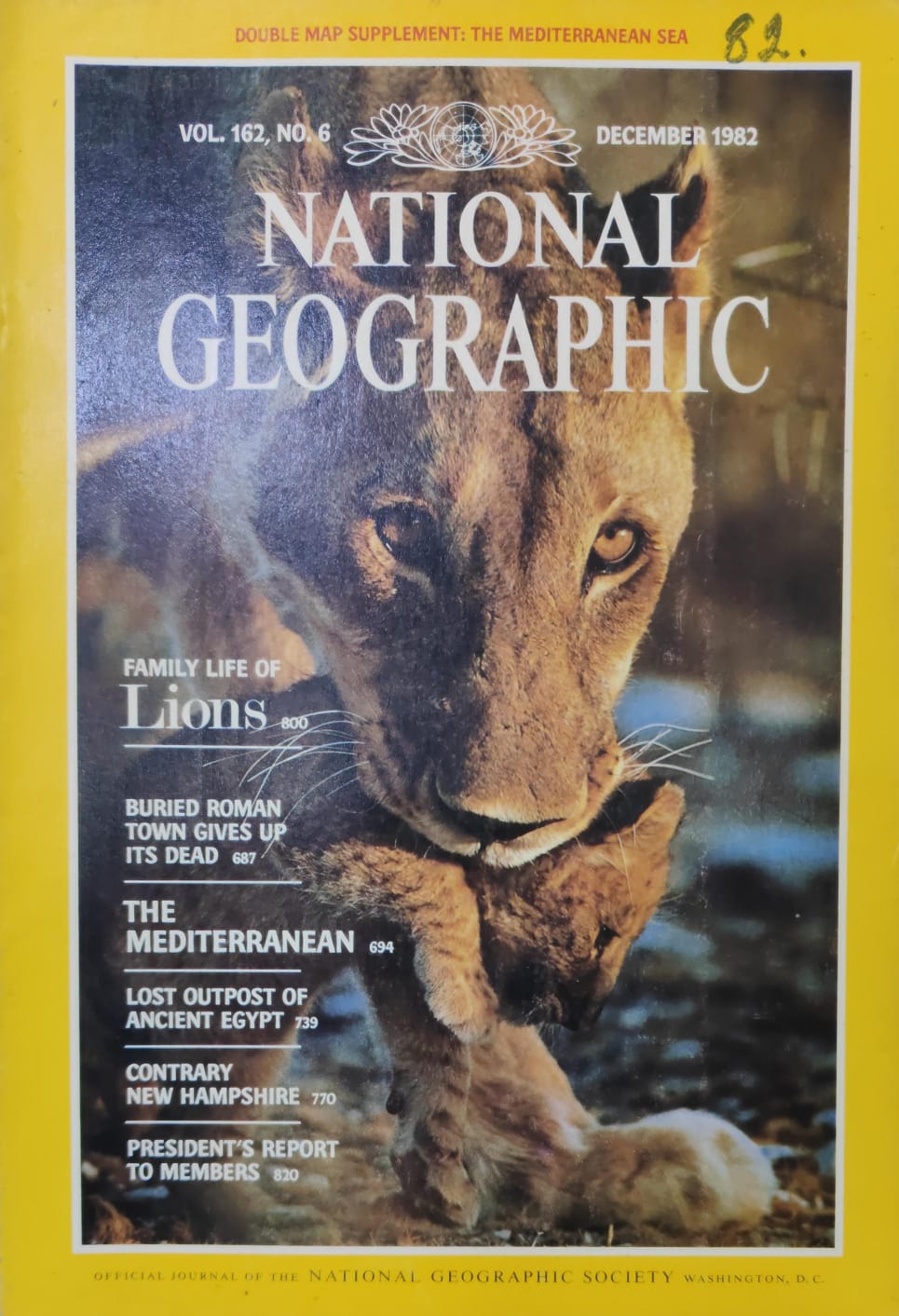 Family Life Of Lions [national geographic][rare books][december 1982]