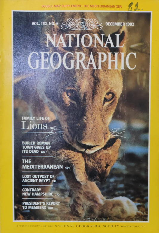 Family Life Of Lions [national geographic][rare books][december 1982]
