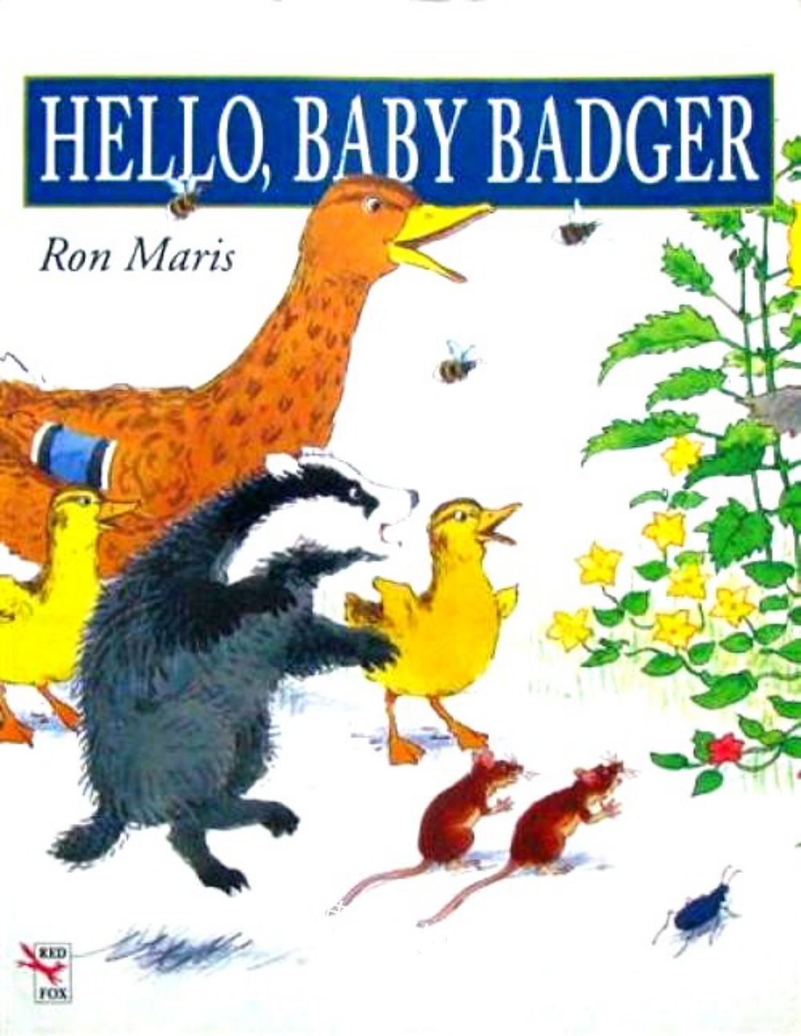 Hello Baby Badger