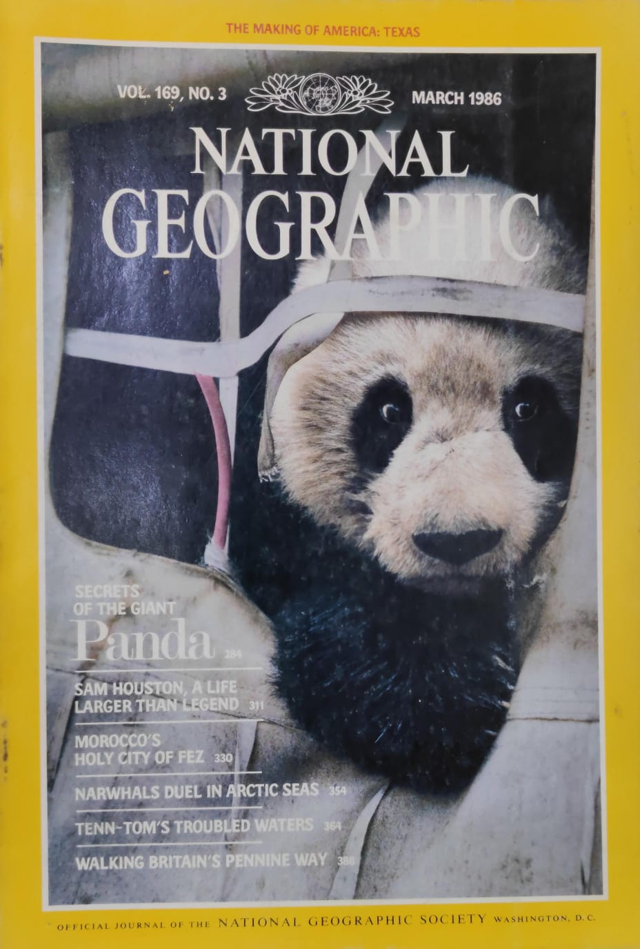 Secrets of the Giant Panda [National geographic][rare books][March 1986]