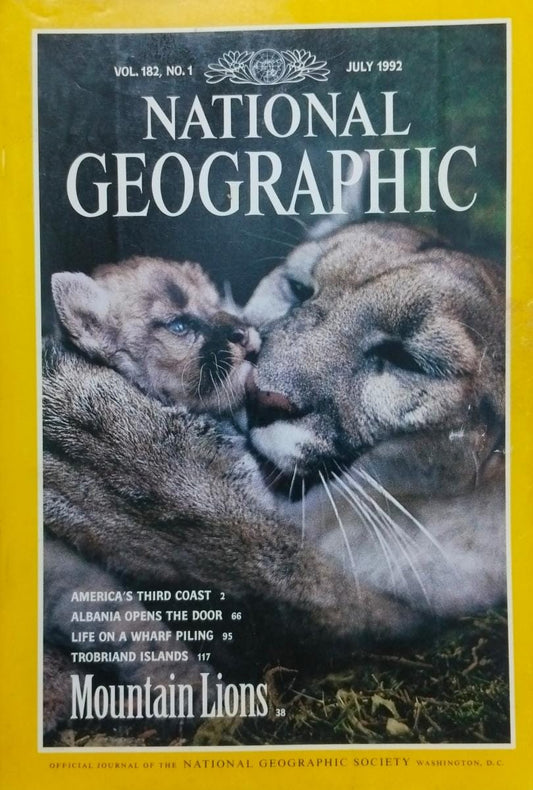Mountain lions [national geographic][rare books]