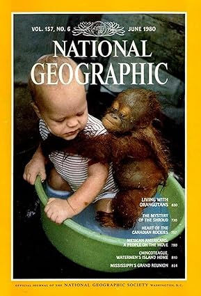 Living With Orangutans [National geographic][rare books][June 1980]