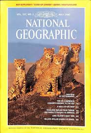 Cheetahs Of The Serengeti [national geographic][rare books][may 1980]