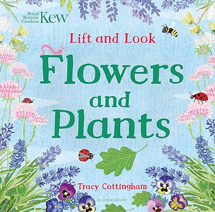 Kew: Lift and Look Flowers and Plants (board book)[lift-the-flap book]