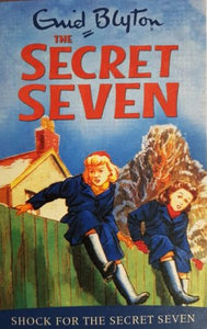 Shock for the Secret Seven